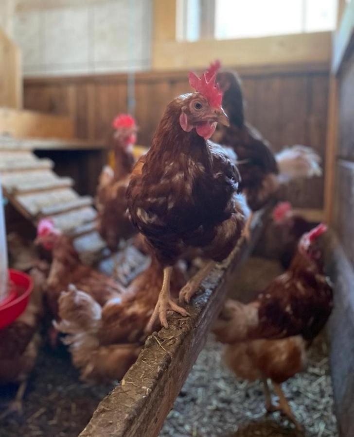 Ferienwohnung Winnebachhof Bagian luar foto